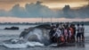 Ratusan Mamalia Laut Terdampar di Timur Indonesia, Pemerintah Didorong Libatkan Semua Pihak dalam Jejaring Penanganan