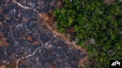 Imagem de arquivo da floresta amazónica, Brasil