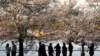 Sejumlah warga tampak menikmati bunga sakura yang bermekaran di area Tidal basin, Washington, pada 22 Maret 2022. (Foto: Reuters/Kevin Lamarque) 