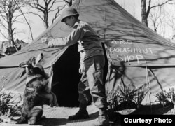 Chips has been posthumously awarded the Dickin Medal — an award for military service bestowed by the People’s Dispensary for Sick Animals, a British charity.