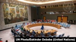 Засідання ініціювали США, Великобританія, Албанія, Бразилія, Франція, Ірландія Мексика та Норвегія