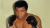 Muhammad Ali