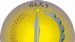 ማእኸላይ ኮሚቴ ብኣዴን ኣቶ ደመቀ መኮነን ኣቦ ወንበር ኣቶ ገዱ ኣንዳርጋቸው ድማ ምኽትል ኣቦ ወንበር ገይሩ ሸይሙ