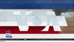 اخبار شامگاهی