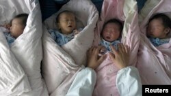 资料照：江苏省淮安市一所医院的新生儿 （2007年5月7日）
