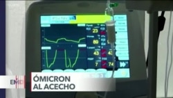 El Mundo al Día