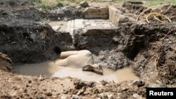 Sebuah patung yang menurut para pekerja menggambarkan Firaun Ramses II yang memerintah Mesir lebih dari 3.000 tahun yang lalu digali pada 9 Maret 2017. (Foto: Reuters)