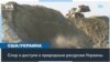 Экономический интерес США может стать гарантией безопасности Украине 