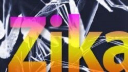Aguardam-se resultados da investigação ao zika -1:40
