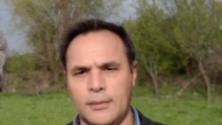 Həbib Sasaniyanla müsahibə