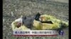 时事大家谈：老人路边等死，中国公民归宿何在？