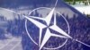 У Раді НАТО-Росія говорили про Україну - прес-служба