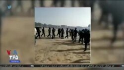 اخبار شامگاهی