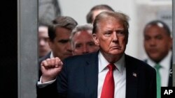 Фото: Новообраний президент США Дональд Трамп, AP