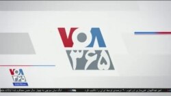 خبر ۸