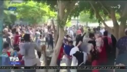 خبر ۸