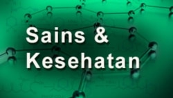 Info Sains dan Kesehatan: Food Waste Apps