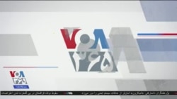 اخبار شامگاهی