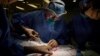 Ahli Bedah NYU Dorong Xenotransplantasi untuk Atasi Kekurangan Organ Global