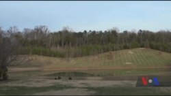 Ось як виробляють сидр на заводі в штаті Вірджинія. Відео