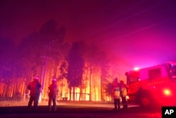 Petugas pemadam kebakaran memadamkan api di Wooroloo, dekat Perth, Australia, 1 Februari 2021. (DFES via AP)