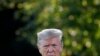 Una corte federal de apelaciones determinó que los registros financieros del presidente Donald Trump deben ser entregados a la Cámara de Representantes.