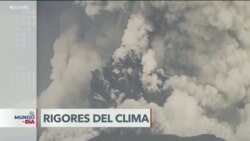 El Mundo al Día