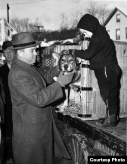 Chips returns home. John Wren was four years old when Chips came home from the war.