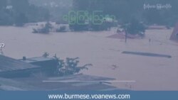  ခက်ခဲရုန်းကန်ရတဲ့ မြန်မာ့စိုက်ပျိုးရေး ရေဘေးကြောင့် ပိုအထိနာ

