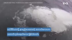 ရုရှားထောက်လှမ်းရေး ဝေလငါးလေး ကွယ်လွန်

