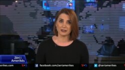 Ditari