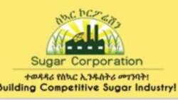 መንግስቲ ክልል ትግራይ ኣብ ፕሮጀክት ሽኮር ጣና በለስ ኣብ ልዕሊ ተጋሪ ንዝተፈጸመ መጥቓዕቲ ብትሪ ኾኒኑ
