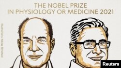 David Julius (esq) e Ardem Patapoutian(dir), vencedores do Nobel da Medicina de 2021