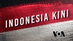 Dua Harimau Sumatra Dilepasliarkan di Kawasan Taman Nasional Gunung Leuser
