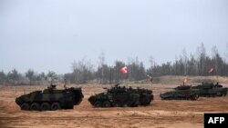Навчання НАТО в Латвії, листопад 2024 року