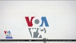 خبر ۸