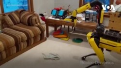 Компанія BOSTON DYNAMICS додала своєму роботу-собаці руку. Відео