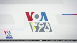 اخبار شبانگاهی
