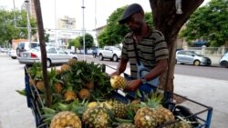 Economistas moçambicanos pedem medidas que produzam resultados consistentes