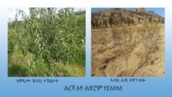ጥርዓን ሕድሮም ሃይለስላሰን ምርመራ ሓባሲ ንብዓት ህዝብን